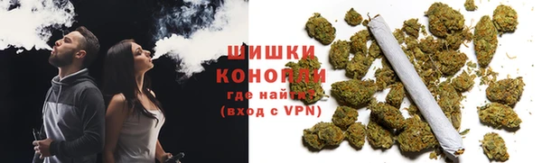 PSILOCYBIN Аркадак