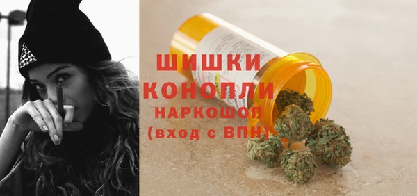 PSILOCYBIN Аркадак