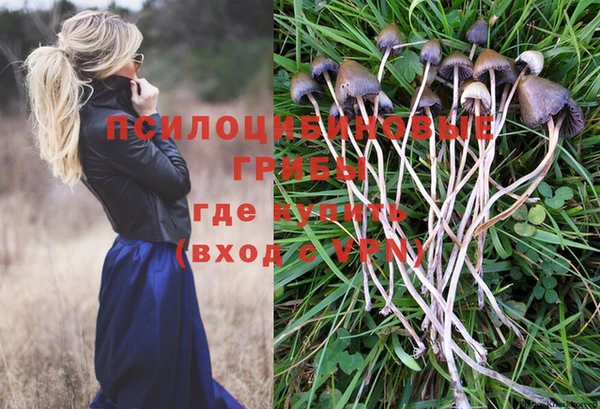 дживик Арсеньев