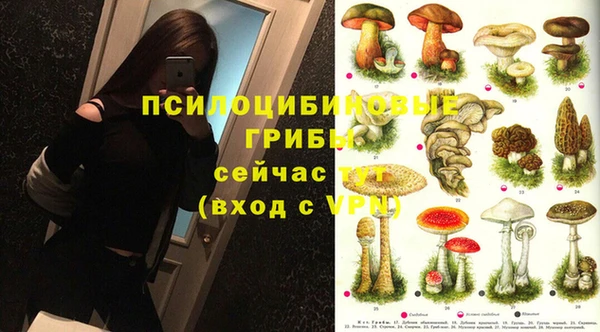 PSILOCYBIN Аркадак