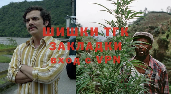 PSILOCYBIN Аркадак