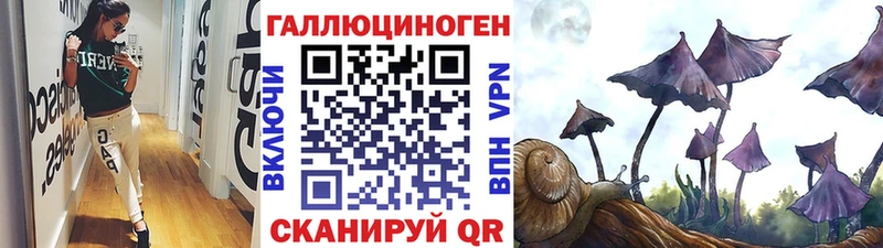 где купить   Няндома  Псилоцибиновые грибы ЛСД 